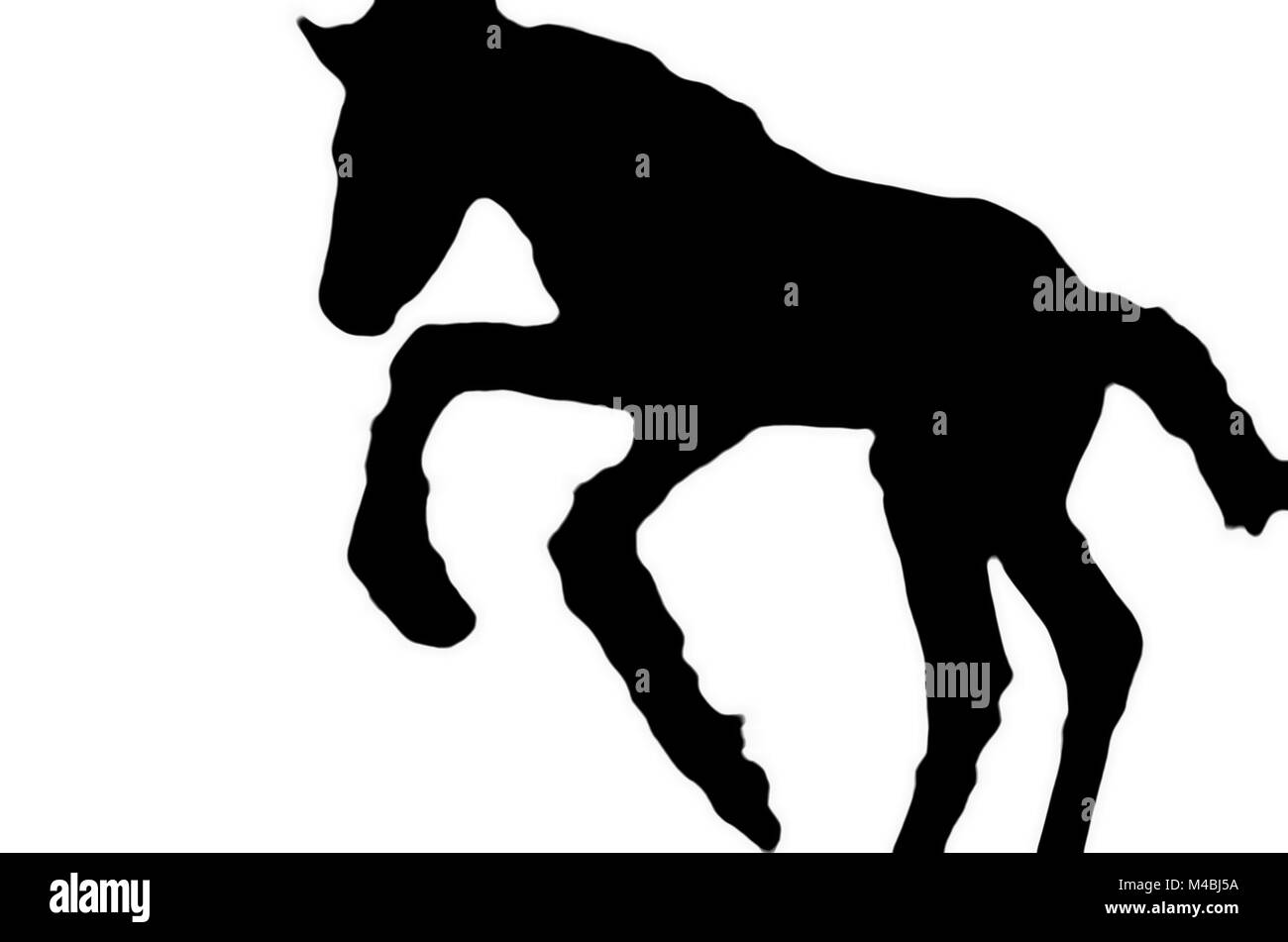 silhouette of a little foal on white isolated background Stock Photo