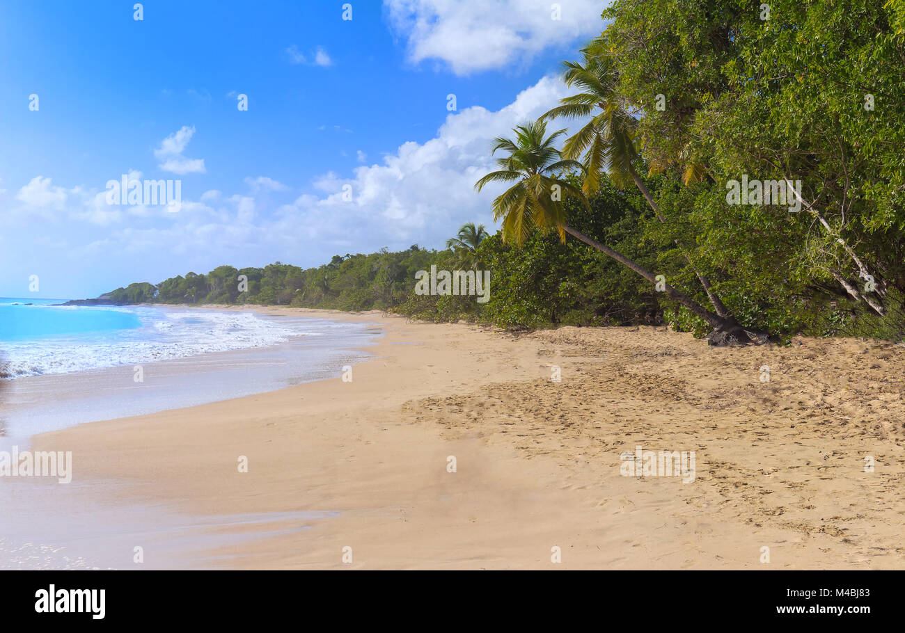 The Caribbean beach , Martinique island Stock Photo Alamy