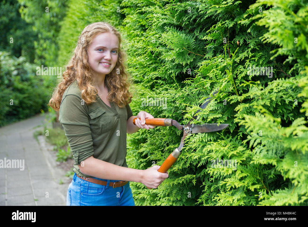 Young dutch woman pruning hedge with hedge trimmer Stock Photo