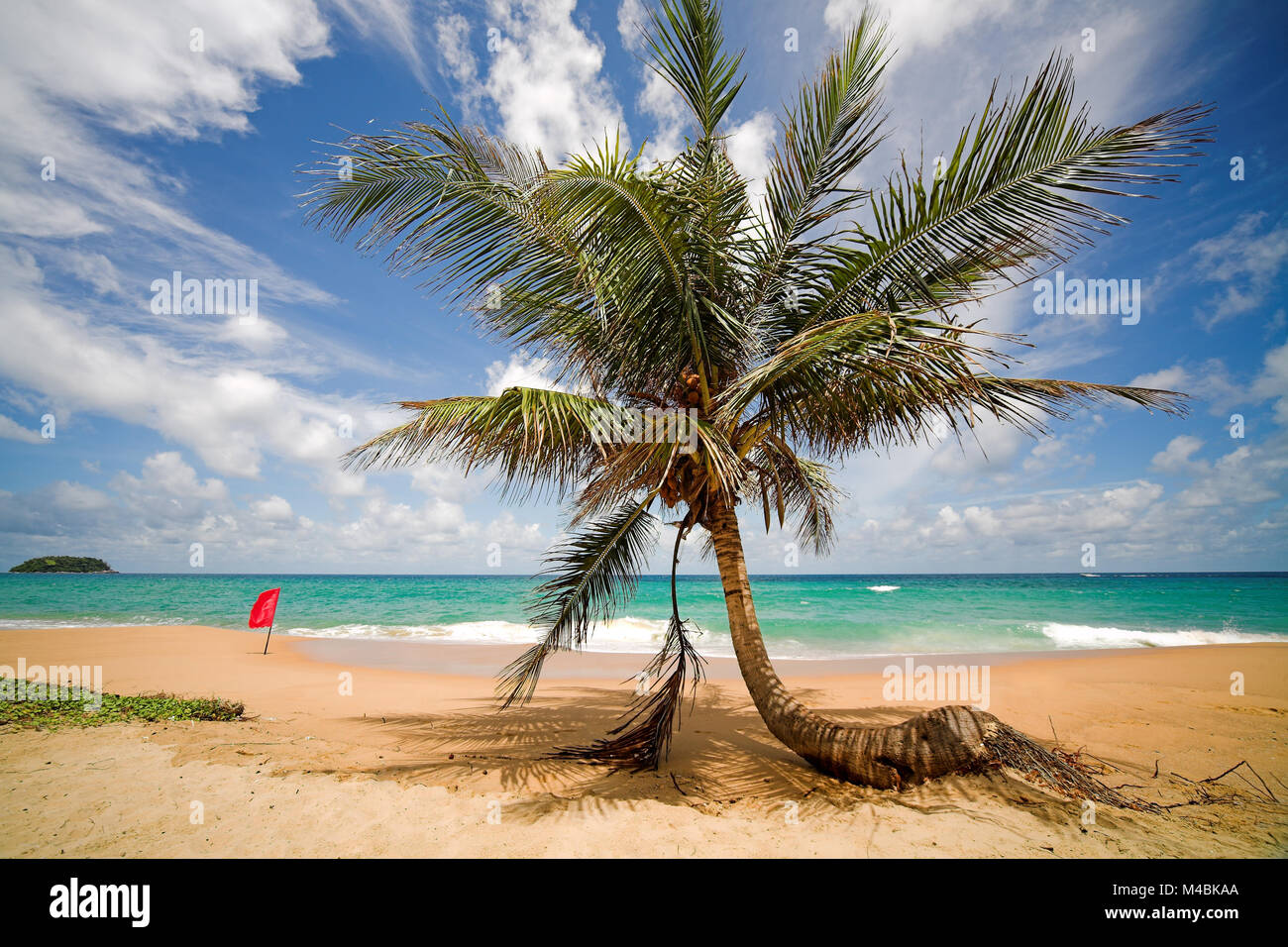 blue red flag with palm tree