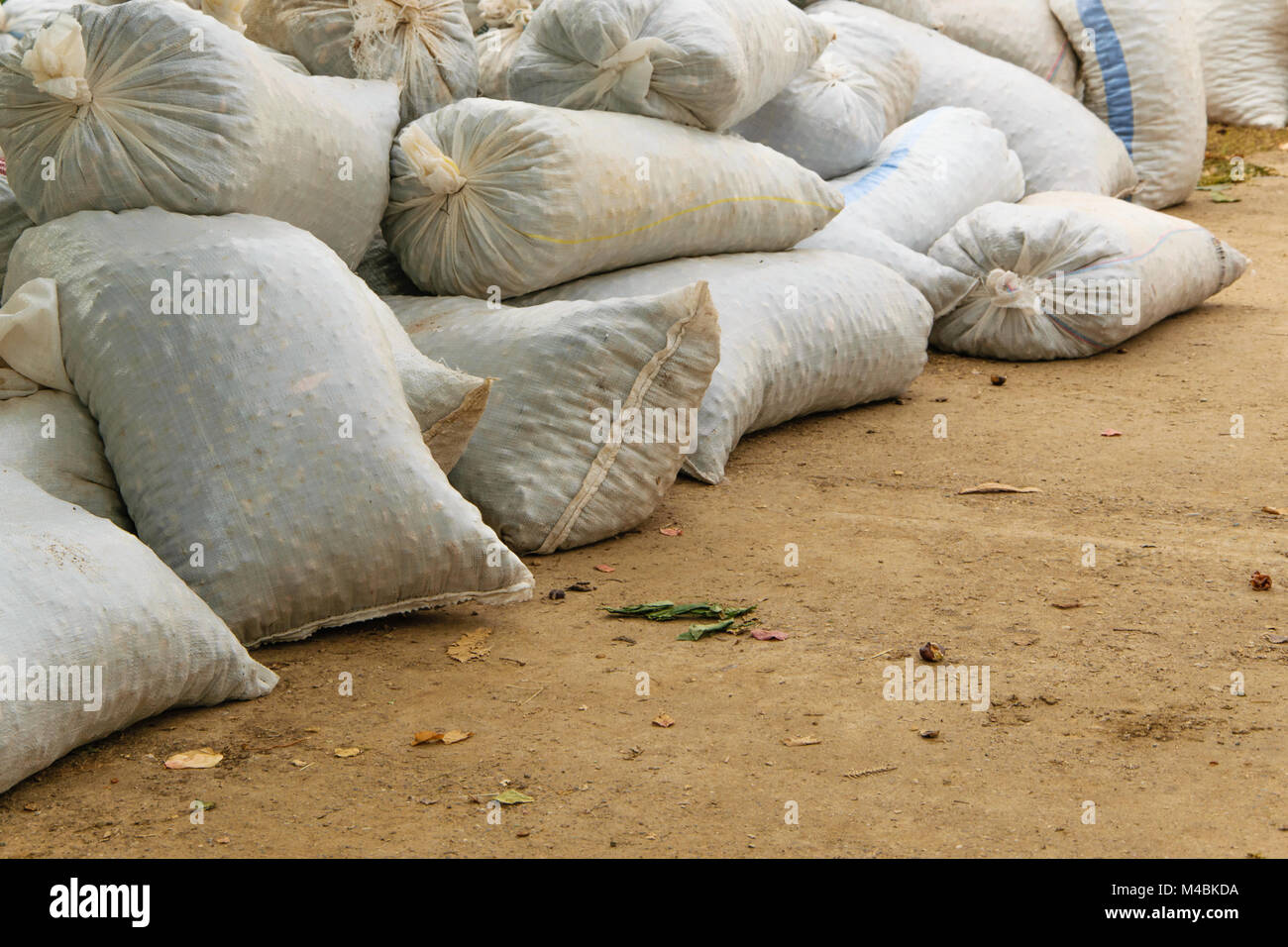 Hemp sacks full of harvest products accumulated on the ground. Agriculture, business concept Stock Photo