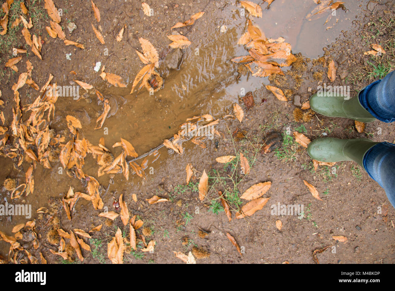 A person wearing a pair of traditional green rubber wellington boots in ...
