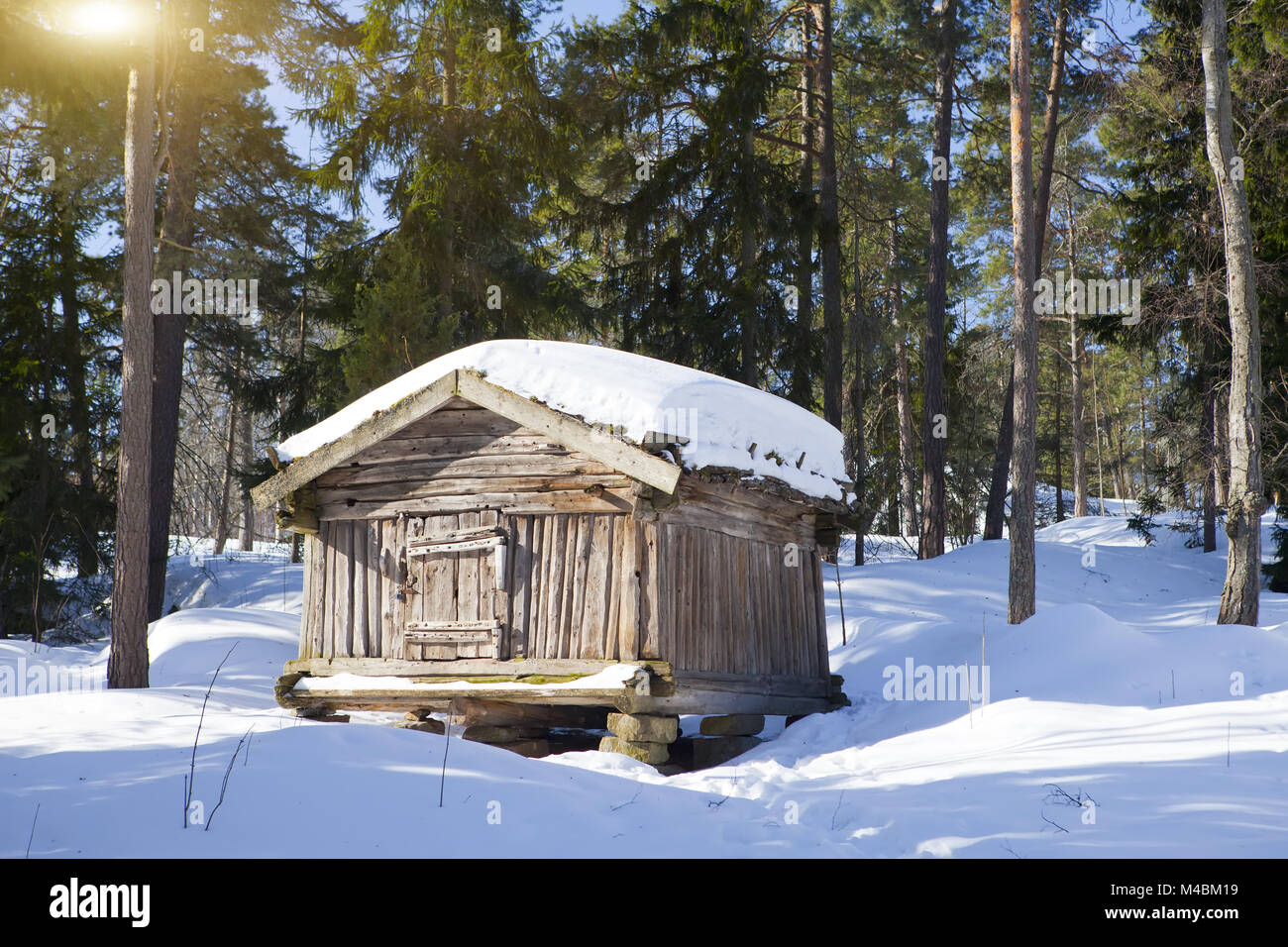 Wooden log hut in the wood in sunny winter day Stock Photo - Alamy