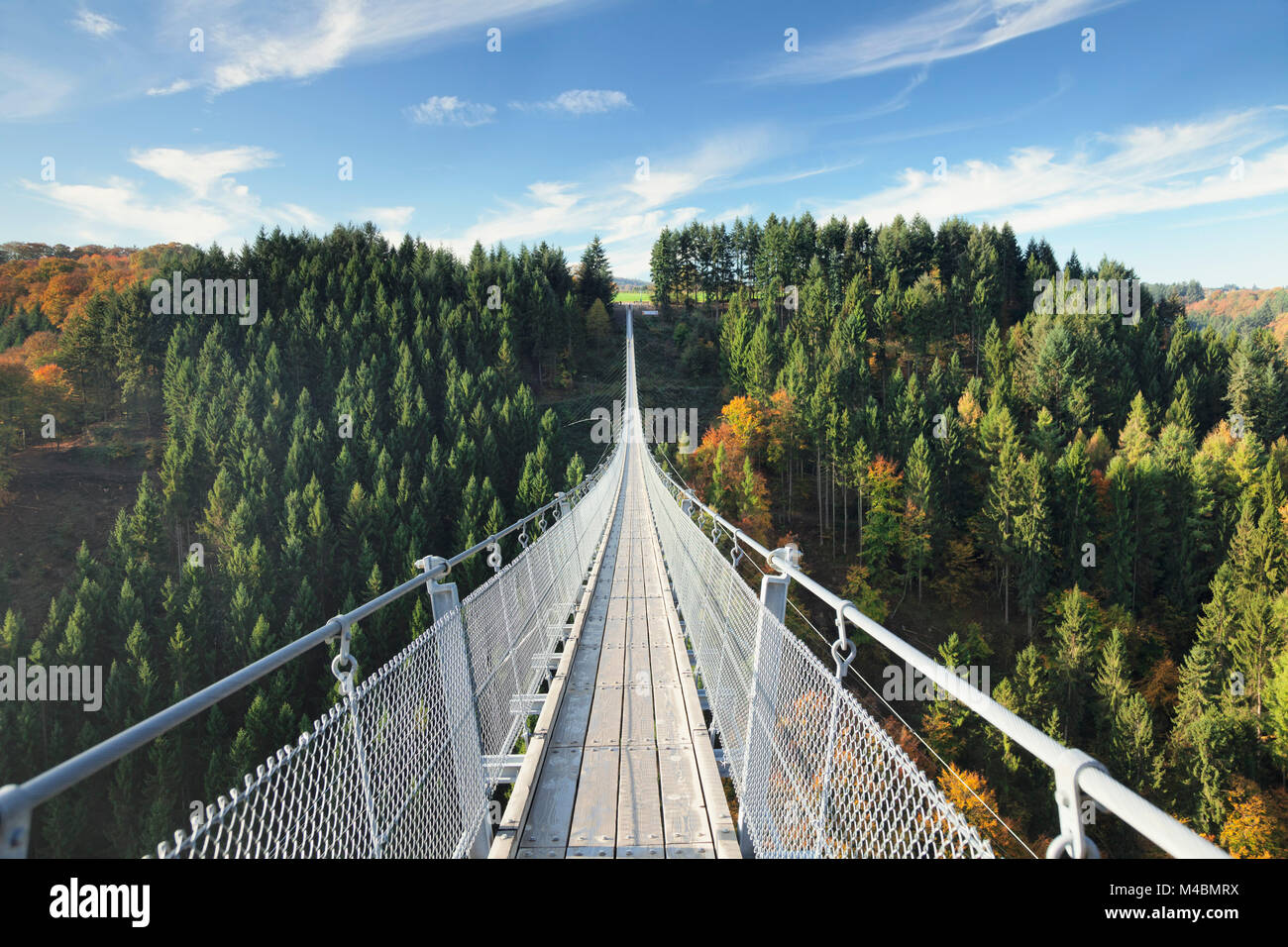 Hanging rope bridge Geierlay,Mörsdorfer Bachtal,Mörsdorf,Hunsrück ...