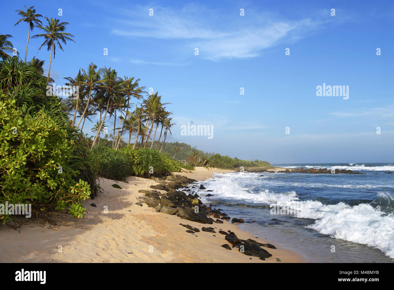 Palms at sandy beach with surf,Indian Ocean,Mirissa,South Province,Sri Lanka Stock Photo