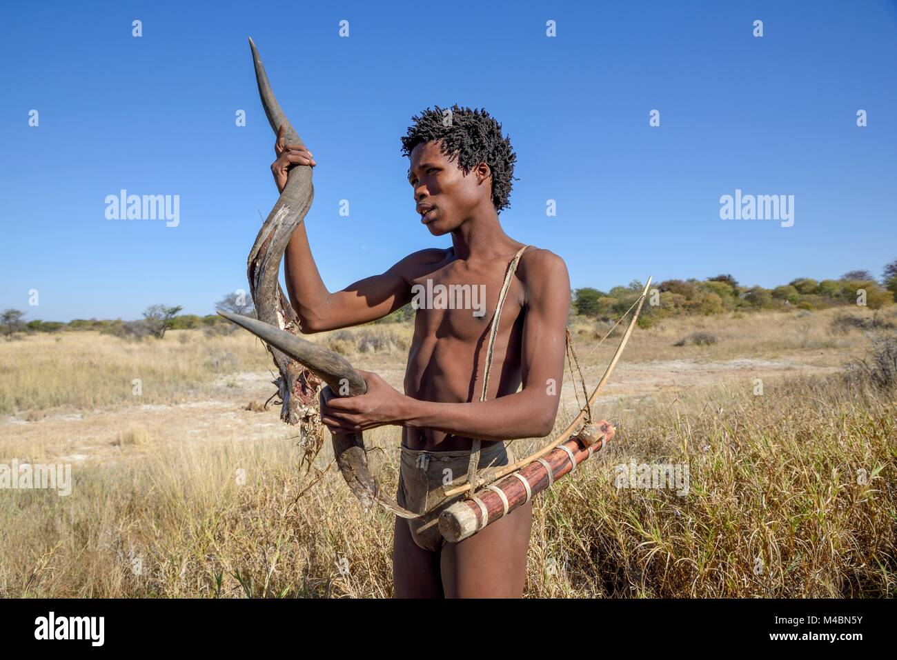 Bushman of the Ju/? Hoansi-San in a traditional hunt with bow and arrow,inspects the horn of a Kudu,village //Xa/oba Stock Photo