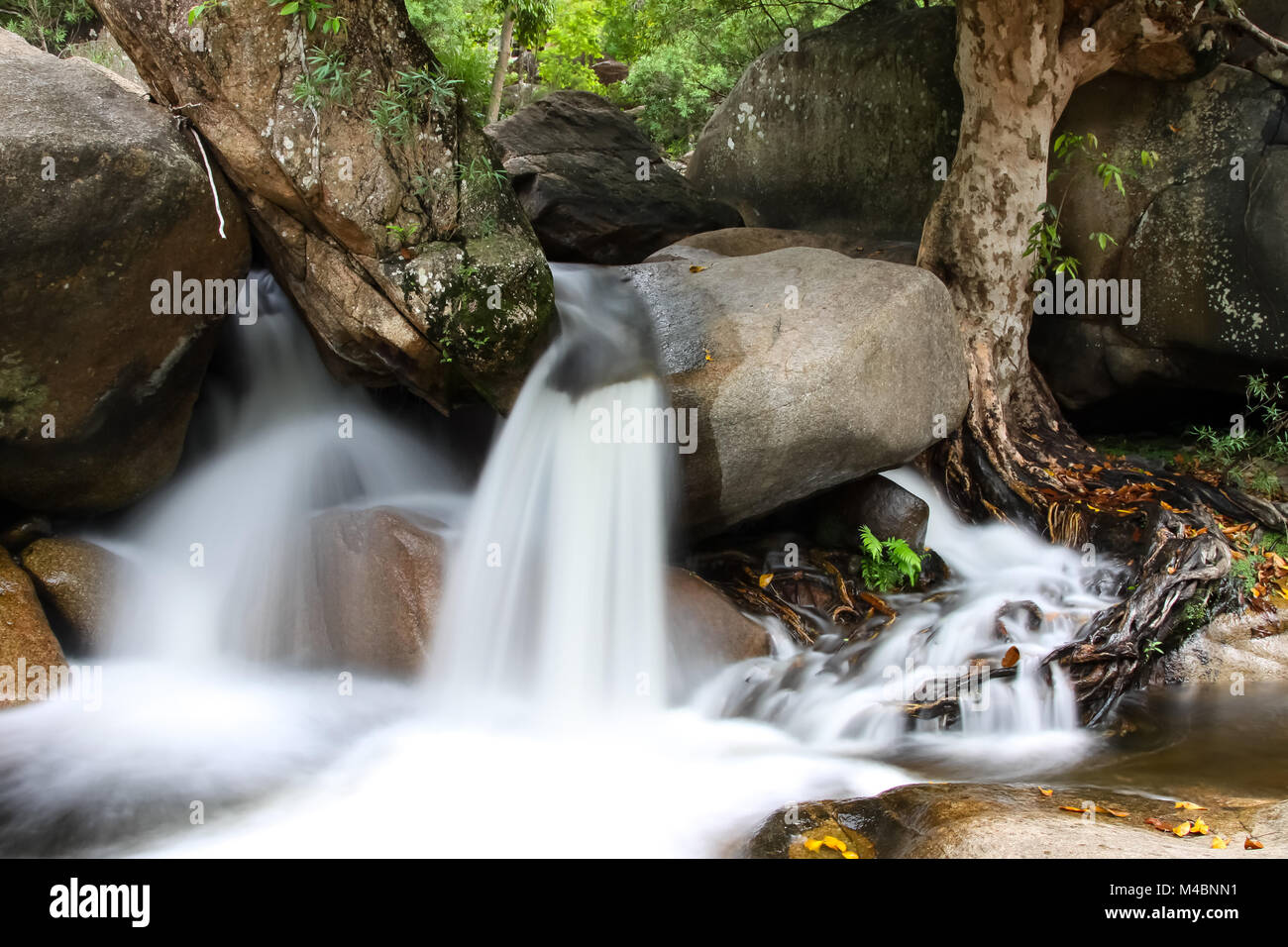 Stream in the Australian Outback Stock Photo