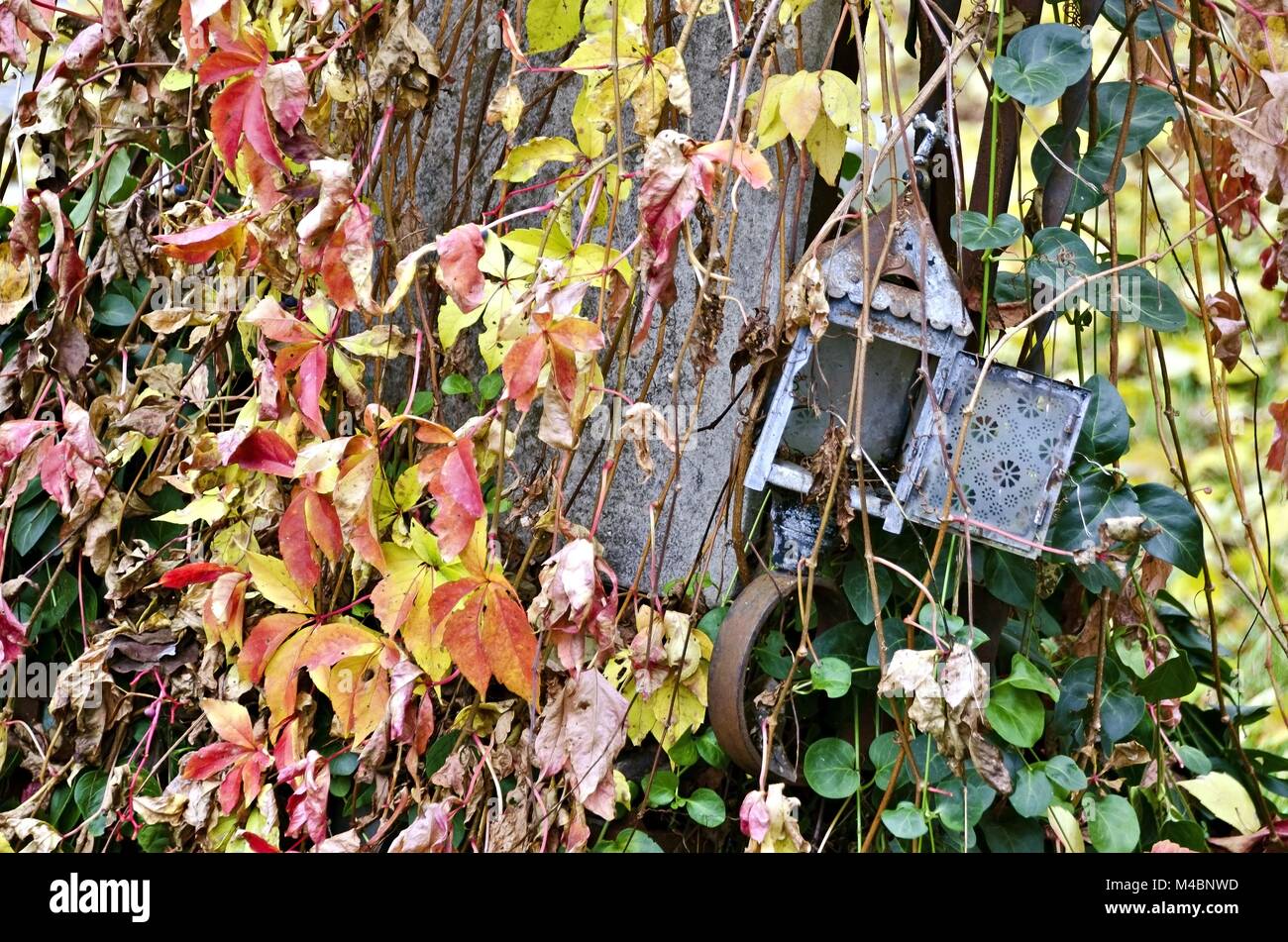 desolate grave lantern with autumnally coloured climbing plants Stock Photo