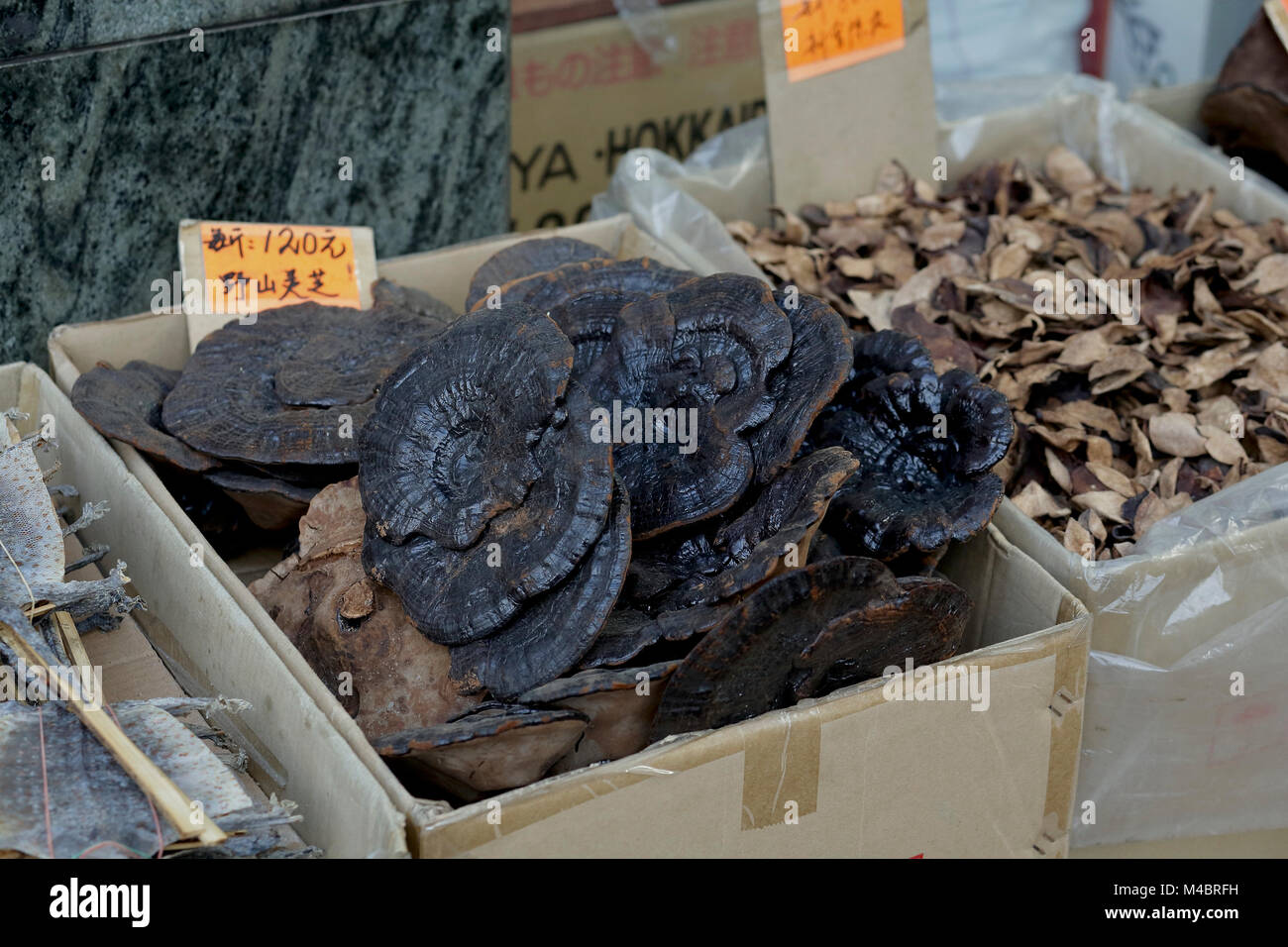 Dried black mushrooms hires stock photography and images Alamy
