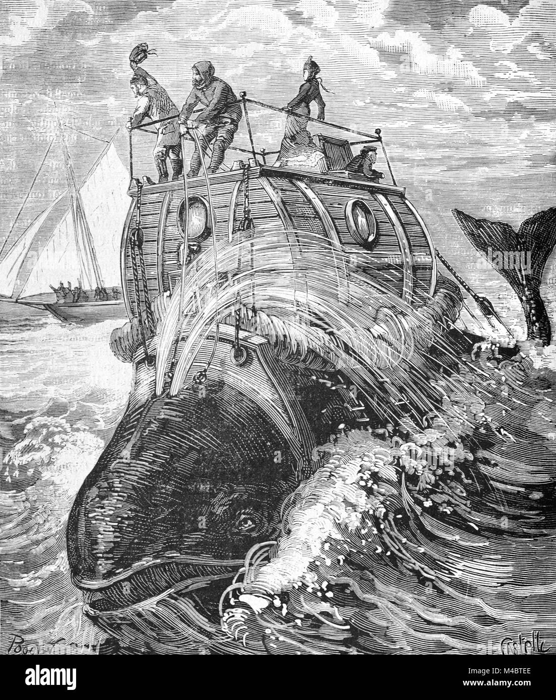Fantastical or Fantasy Whale Boat or Whale Rigged with Giant Wooden Saddle for Whale Rides on the World's Oceans. Wacky Fantasy Vehicle for Water Transport (Engraving, 1880) Stock Photo