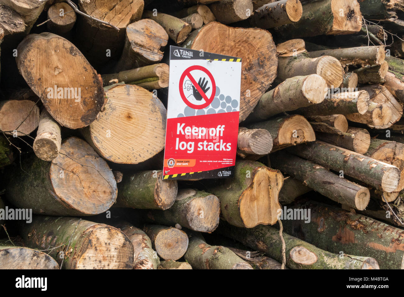 Warning sign 'Keep Off Log Stacks' on a log pile in woodland where trees are being cleared Stock Photo