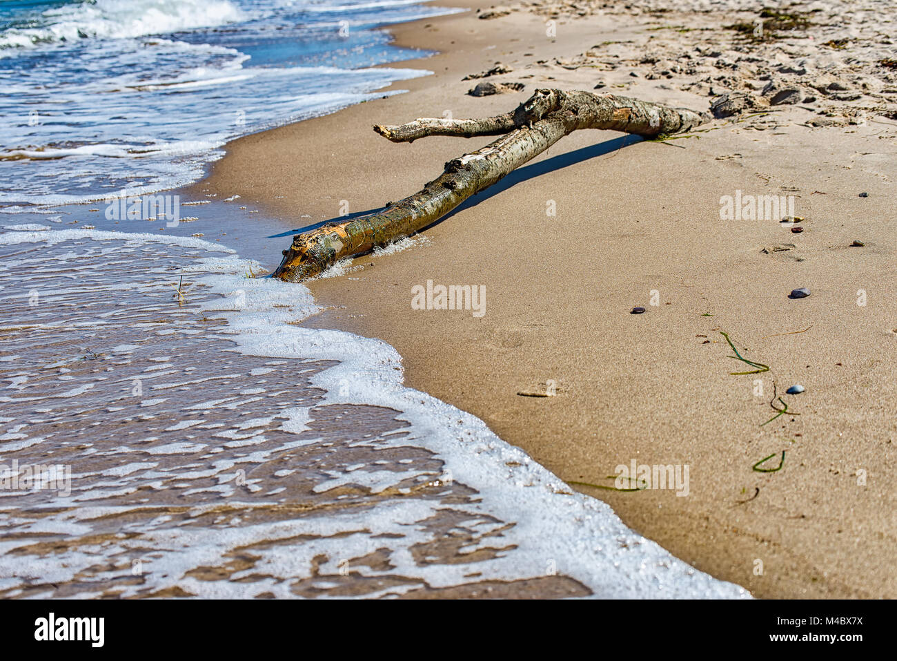 Driftwood on the beach Stock Photo Alamy