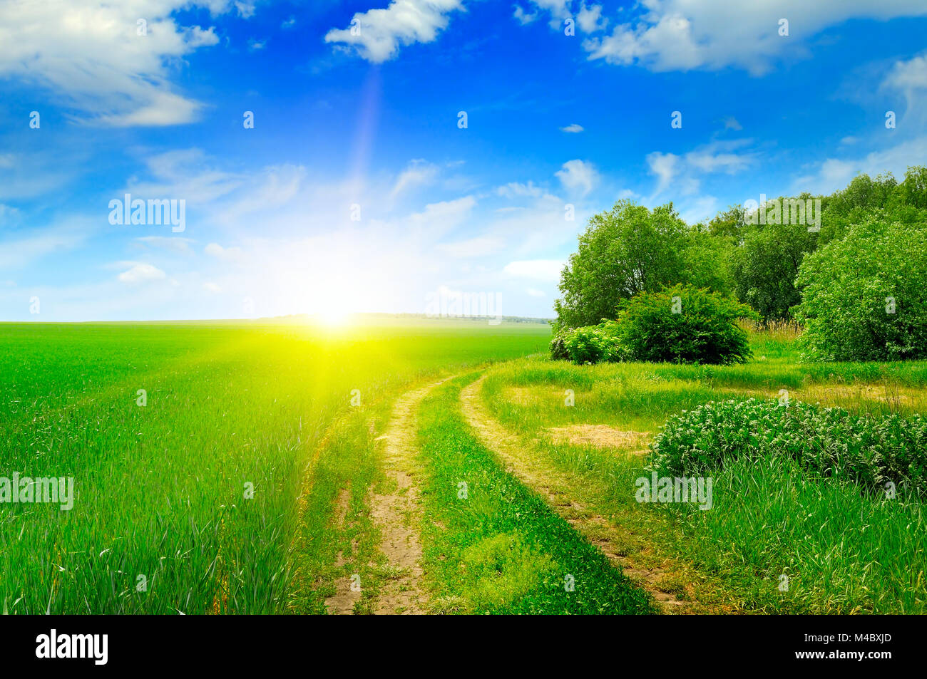 green field and sun on blue sky Stock Photo - Alamy