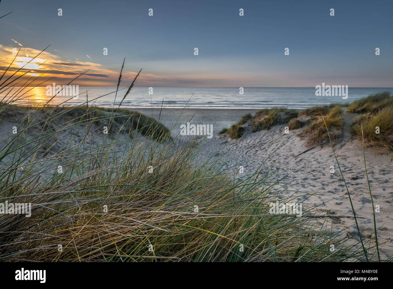 Beachview from dunes with marram grass at sunset Stock Photo