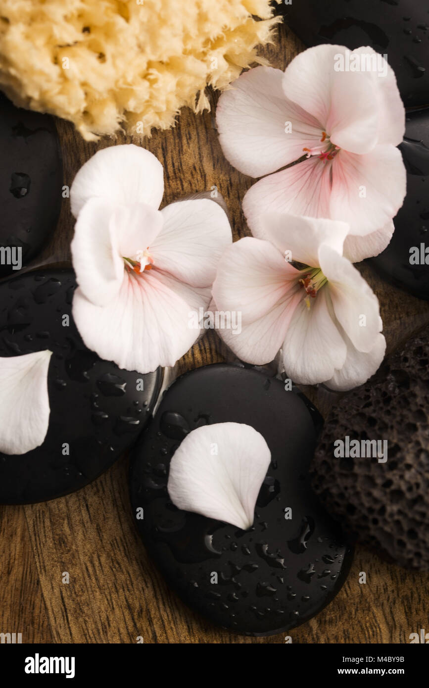 Spa still life, with pink flowers, stones and water Stock Photo - Alamy