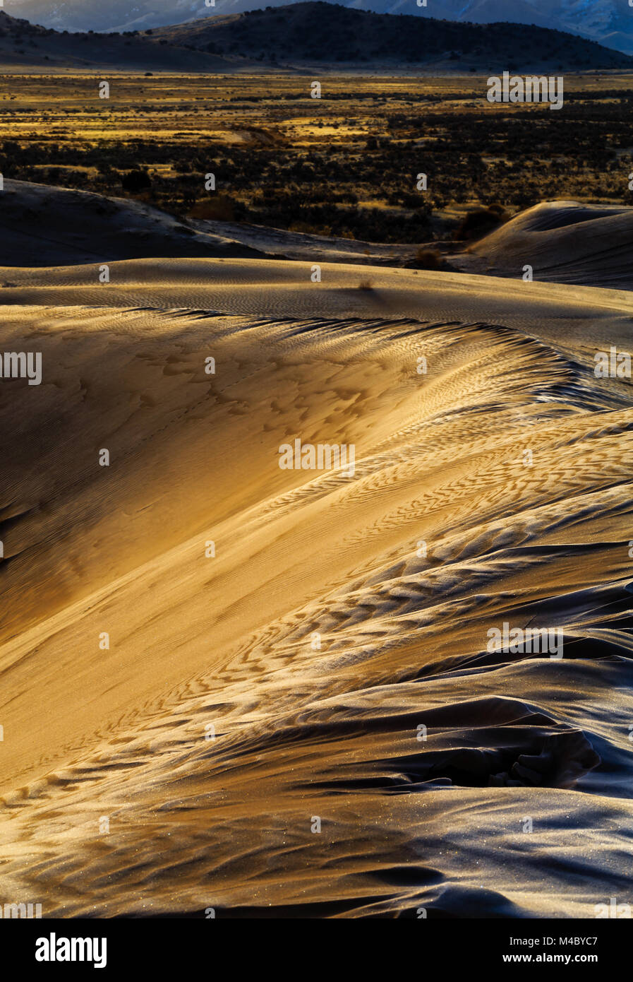 Utah Sahara sand dunes Stock Photo