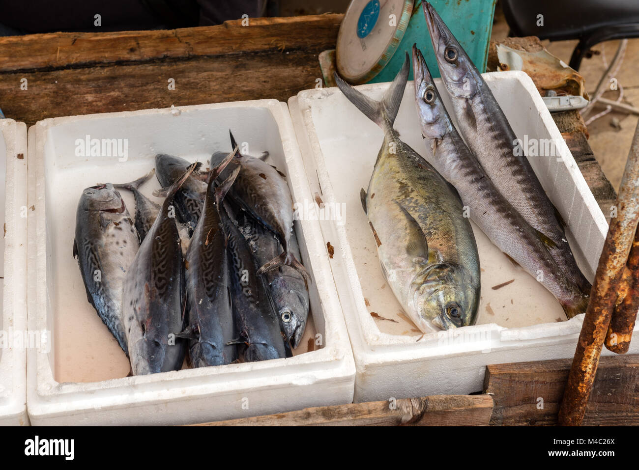 Fresh fish on sale on seaside promenade. Zakynthos island, Greece Stock