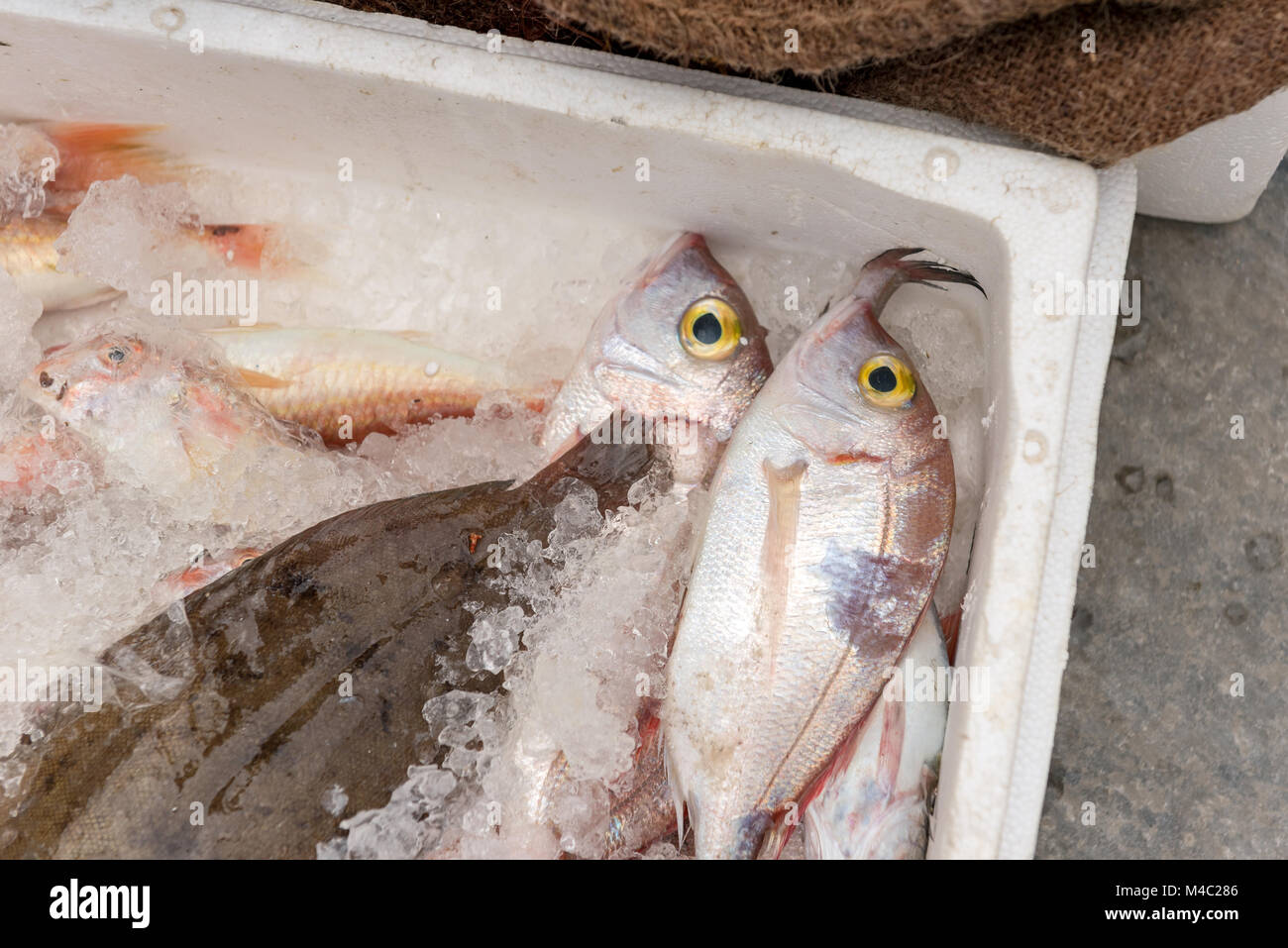 Fresh fish on sale on seaside promenade. Zakynthos island, Greece Stock
