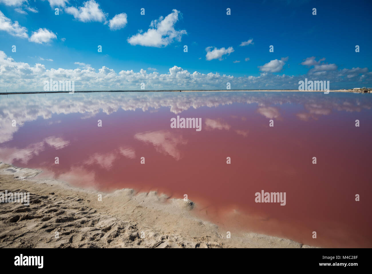 Salt pink lagoon in Las Coloradas, Yucatan, Mexico Stock Photo