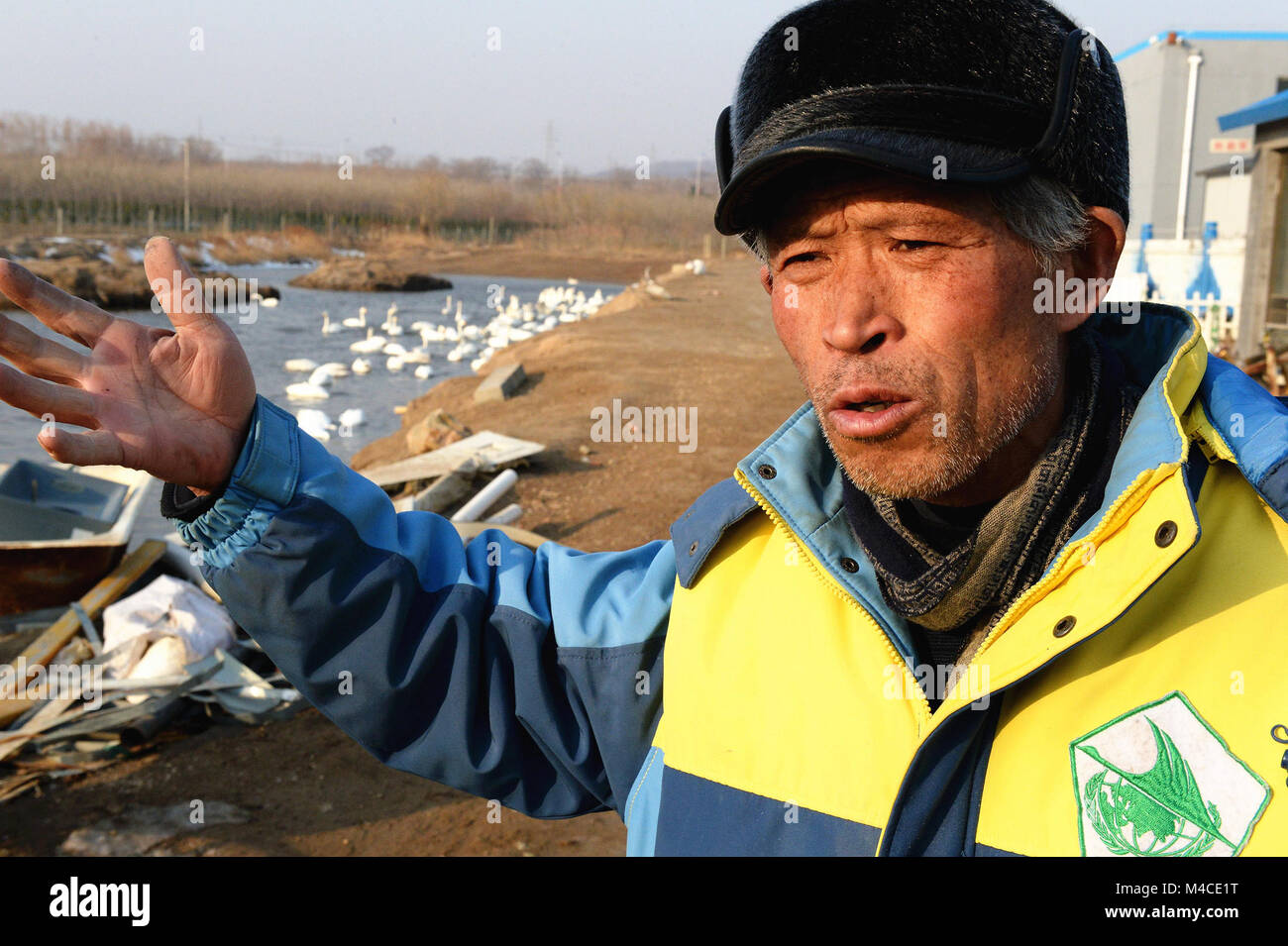 (180216) -- JINAN, Feb. 16, 2018 (Xinhua) -- Yuan Xueshun tells his story of feeding swans in Chengshan Town of Rongcheng City, east China's Shandong Province, Feb. 14, 2018. Yuan Xueshun, dubbed as 'swan guard,' has devoted himeself to the protection of swans for over 40 years. He has rescued more than 1,000 sick or wounded swans and succeeded in preventing more than 1,000 mu (66.67 hectares) of wetland from being destroyed since 1975. Thanks to the efforts made by people like Yuan, the Swan Lake in Rongcheng has become an ideal habitat for swans in winter. (Xinhua/Feng Jie) (mp) Stock Photo