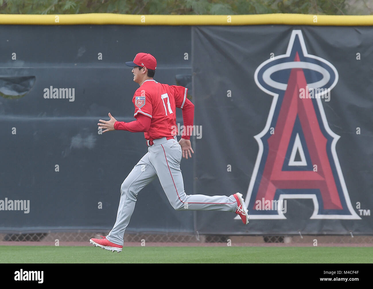 Tempe, Arizona, USA. 14th Feb, 2018. Shohei Ohtani (Angels) MLB Los