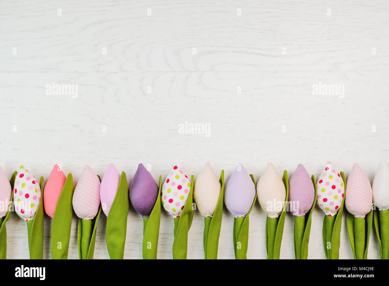 beautiful spring tulip flower flowers on a white background Stock Photo ...