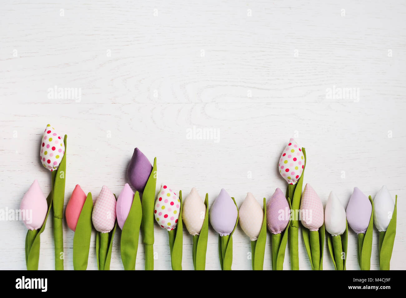 beautiful spring tulip flower flowers on a white background Stock Photo ...