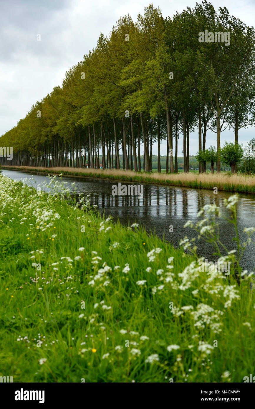 Damme Canal, Belgium Stock Photo