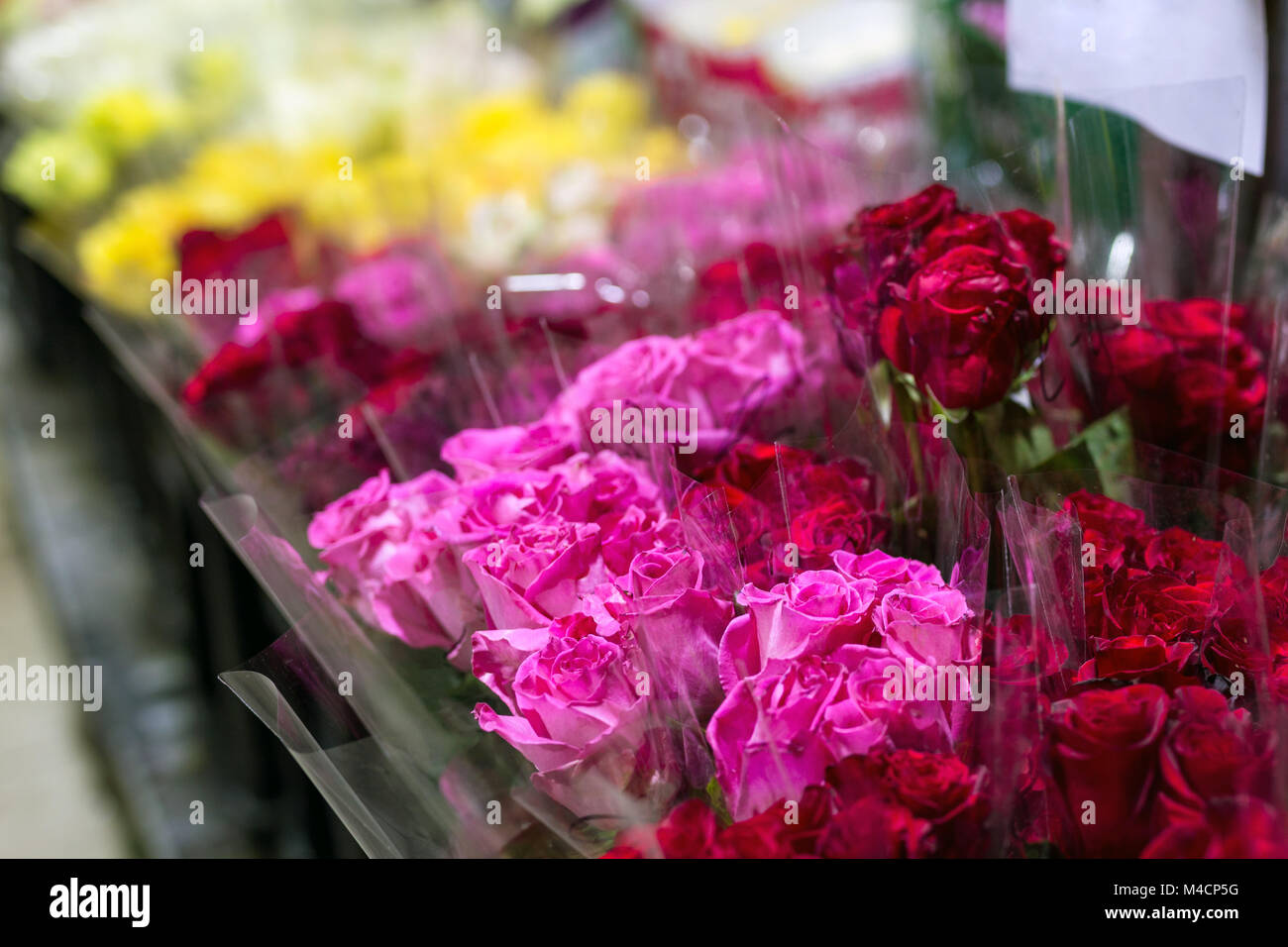Beautiful fresh red roses at flowermarket. Wholesale flower shop. Retail and gross cut flower