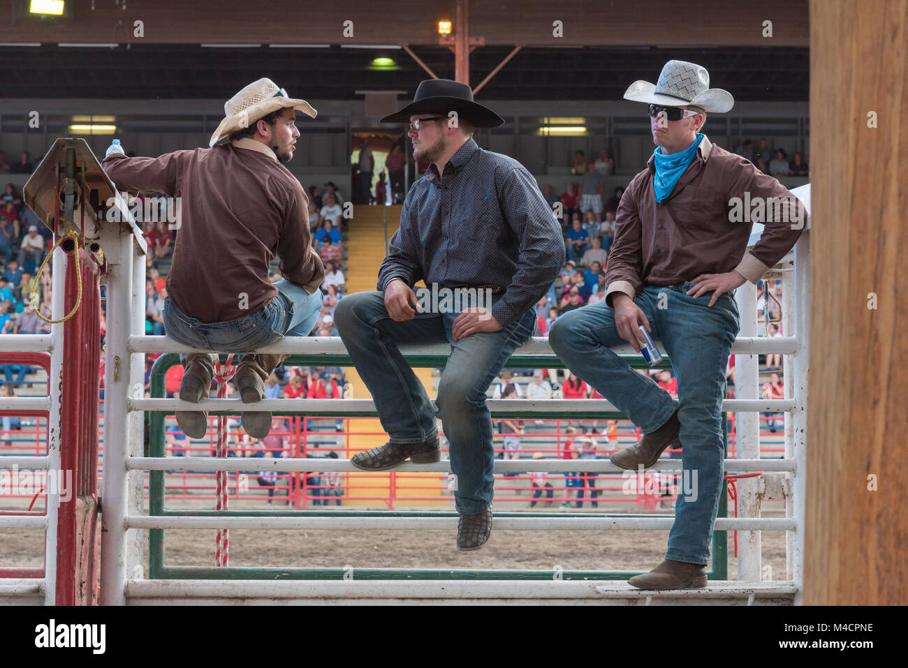 Stampede cowboys hires stock photography and images Alamy