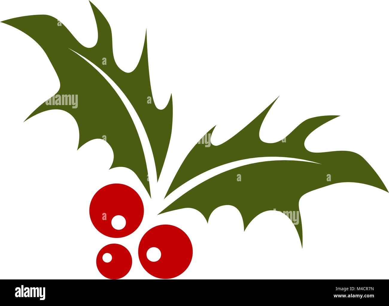 An image of a holly leaf with red berries. Stock Vector