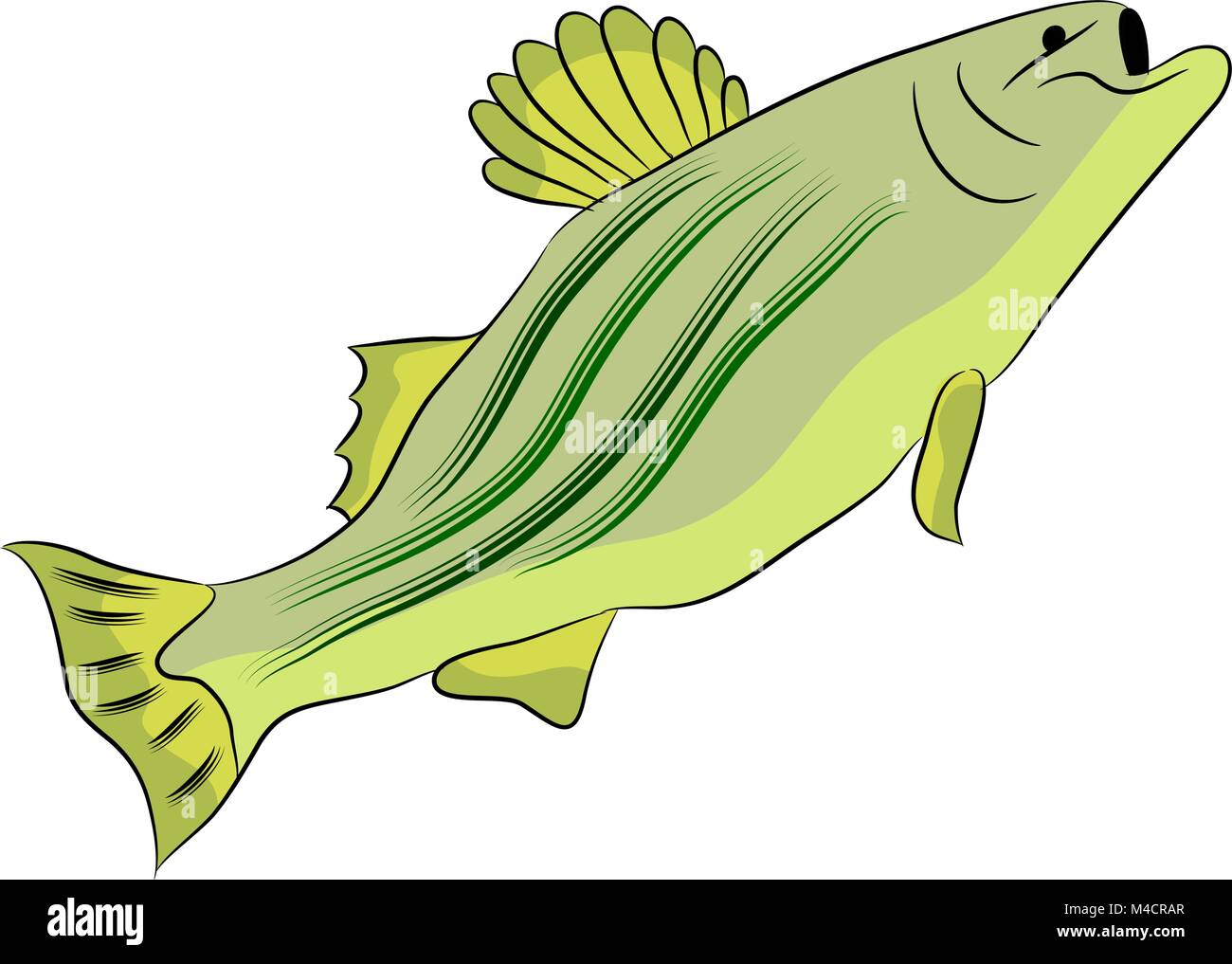 An image of a bass fish. Stock Vector
