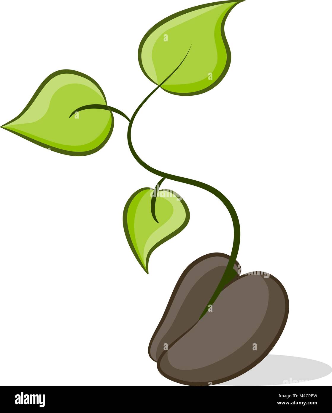 An image of a seed that is growing plant life. Stock Vector
