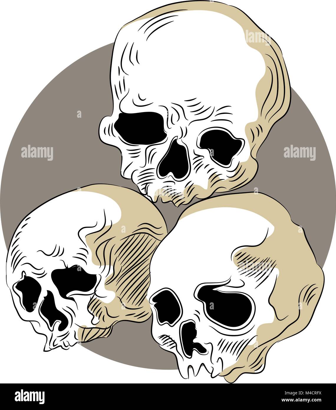 An image of decomposed human skulls. Stock Vector