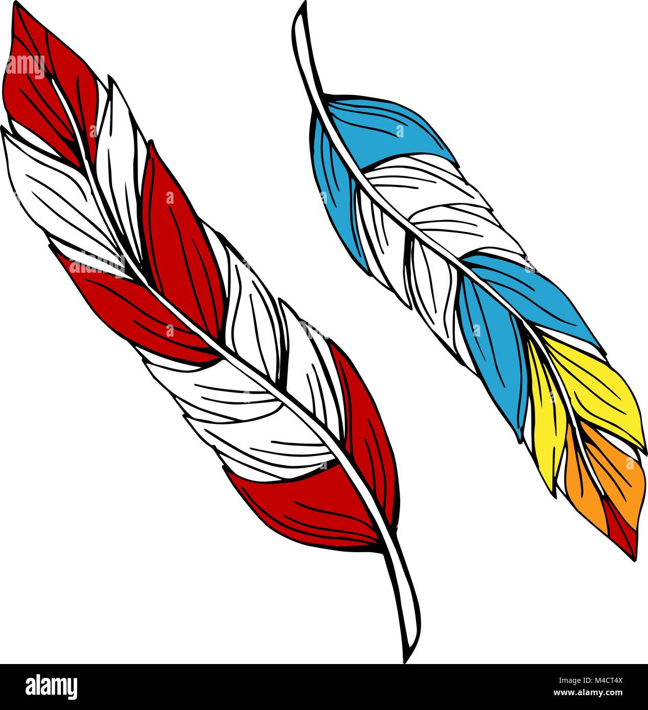 An image of two colorful feathers. Stock Vector