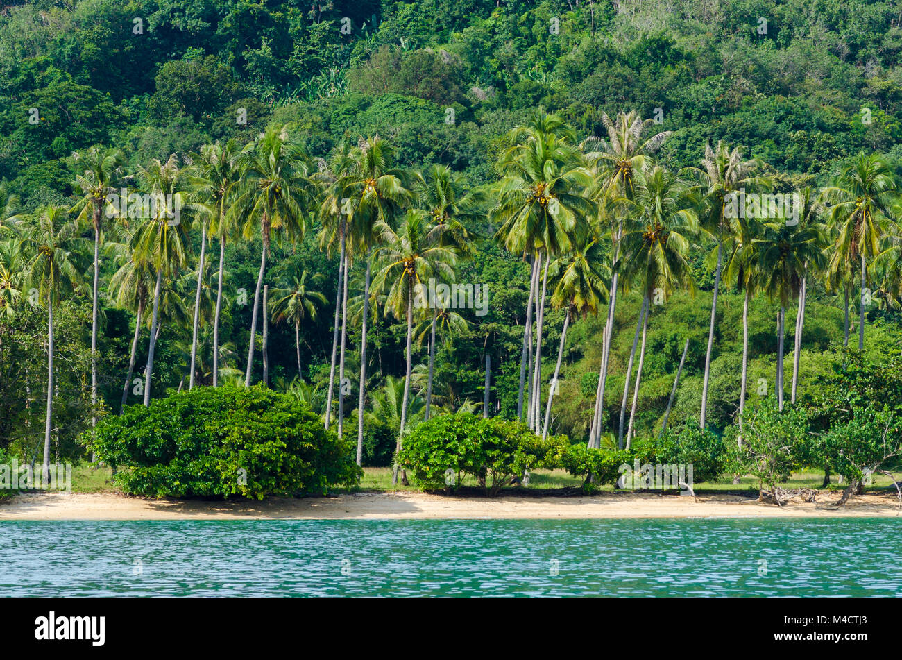 Coconut Beach Have a mountain Andaman sea Thailand Krabi Stock Photo