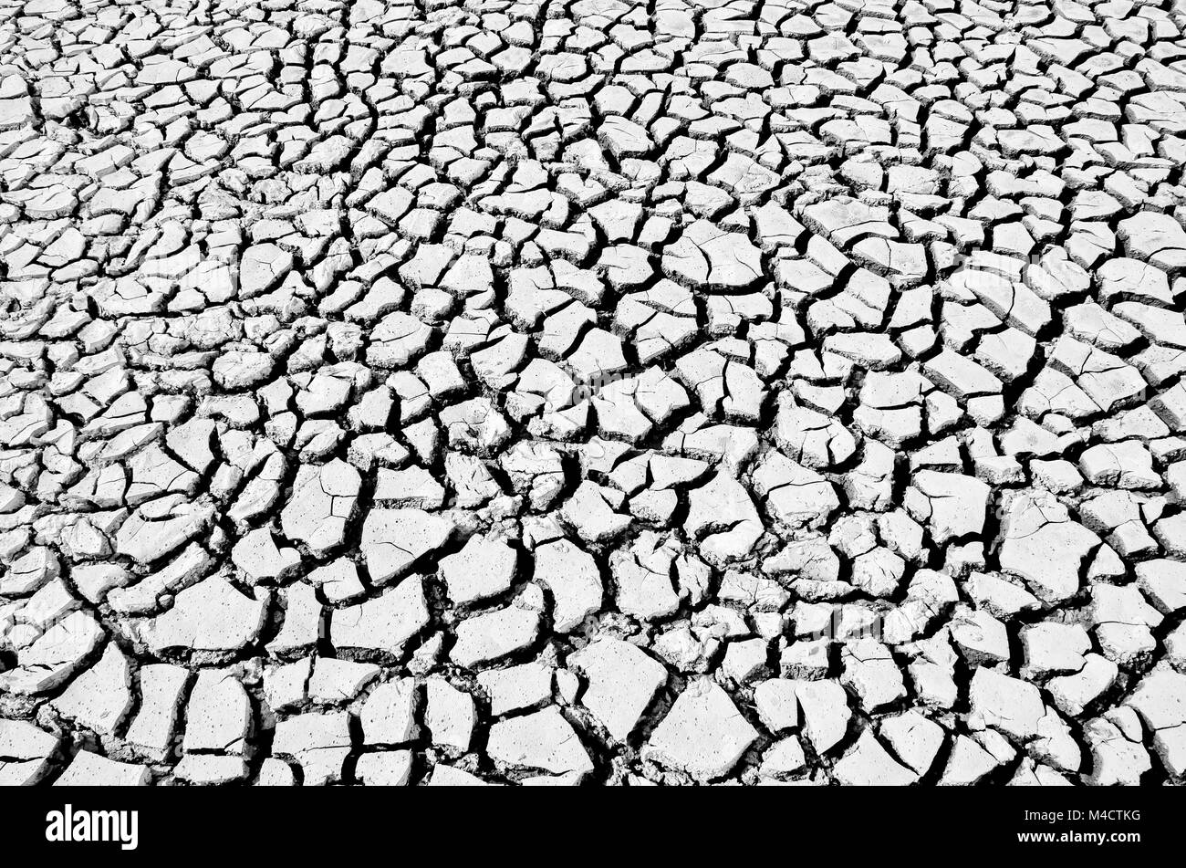 soil drought cracks texture background for design. black and white picture Stock Photo