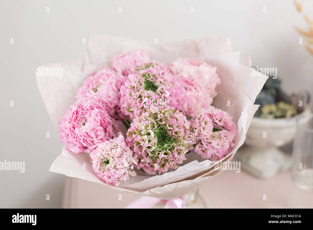 Persian buttercup. lace with many petals. Bunch pale pink ranunculus flowers light background. Wallpaper Stock Photo