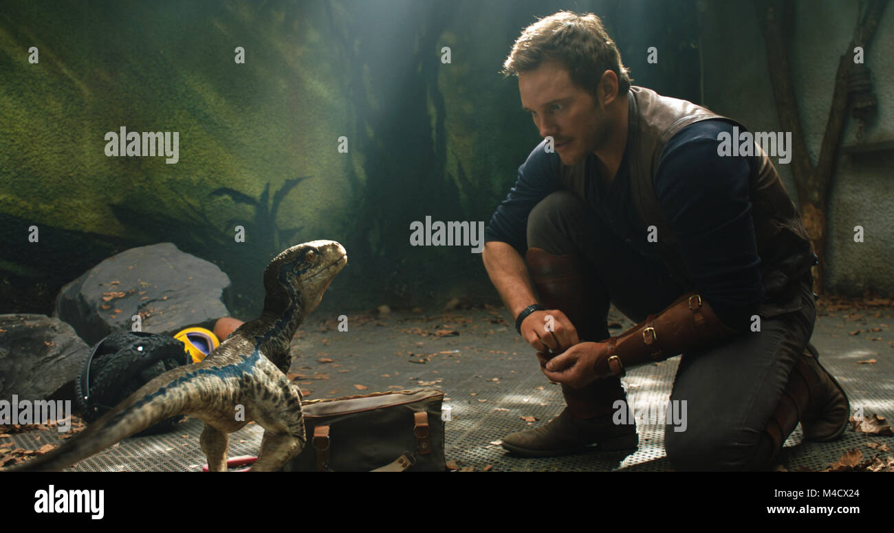 RELEASE DATE: June 22, 2018 TITLE: Jurassic World: Fallen Kingdom STUDIO: Universal Pictures DIRECTOR: J.A. Bayona PLOT: When the island's dormant volcano begins roaring to life, Owen and Claire mount a campaign to rescue the remaining dinosaurs from this extinction-level event. STARRING: CHRIS PRATT as Owen. (Credit Image: © Universal Pictures/Entertainment Pictures) Stock Photo