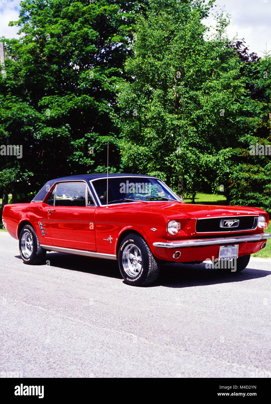 1966 Ford Mustang Stock Photo