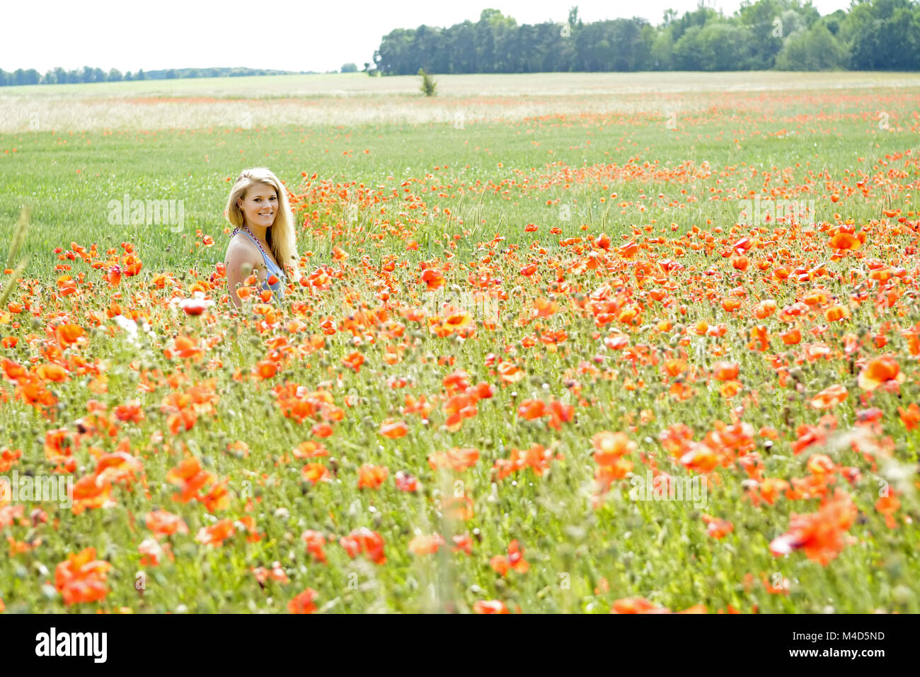 woman in poppy field Stock Photo - Alamy
