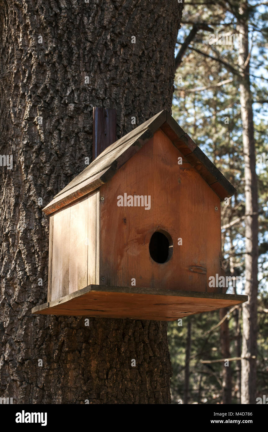 Image showcasing Wooden aviary hi-res stock photography and images - Alamy