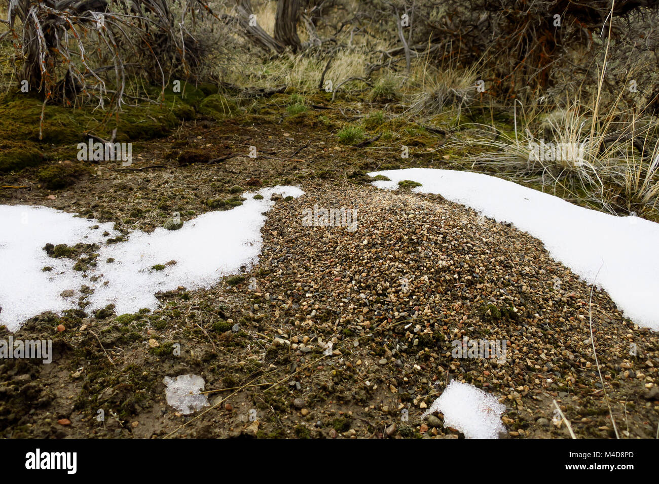 Insect perspective hi-res stock photography and images - Alamy