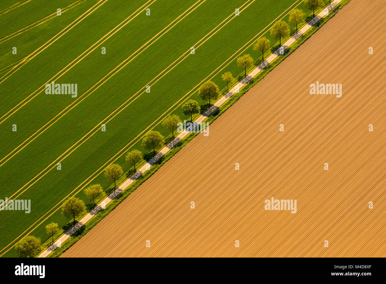Landscape trees hi-res stock photography and images - Alamy