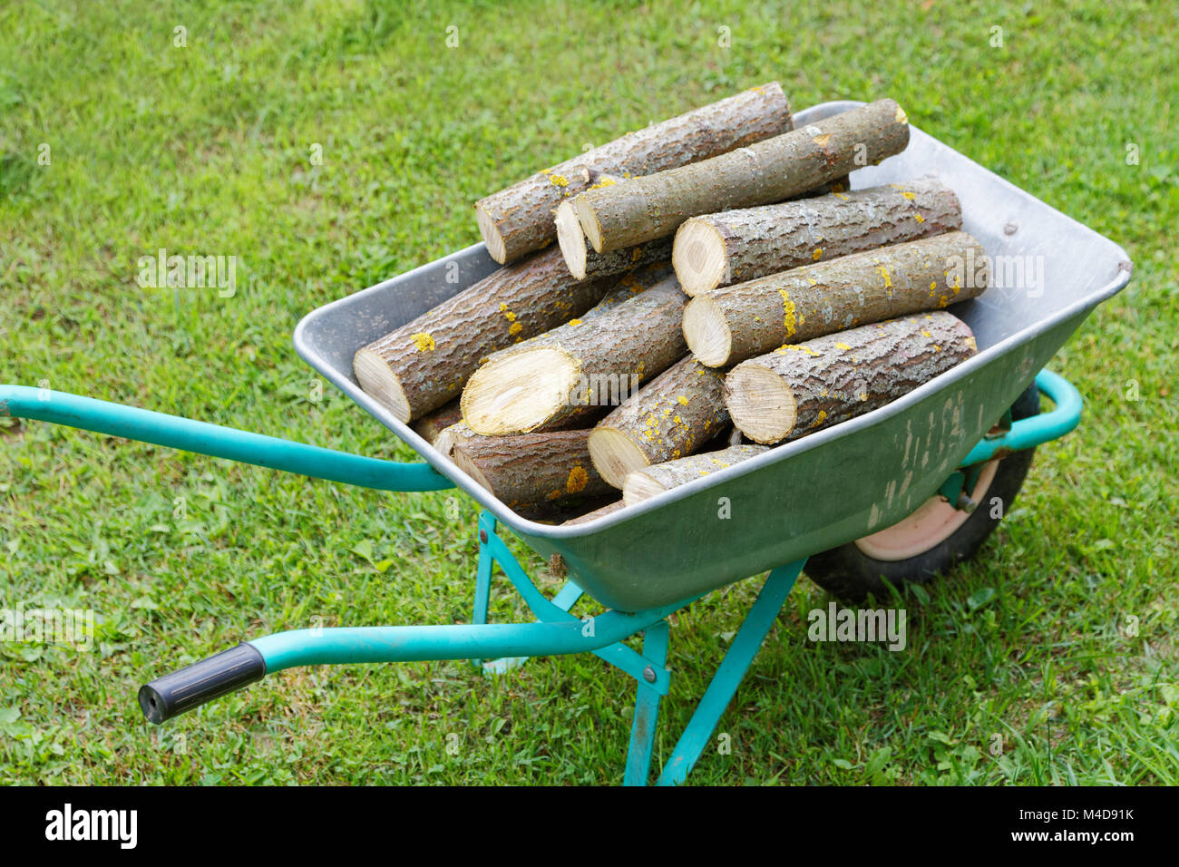 hand truck with firewood on the green grass Stock Photo Alamy