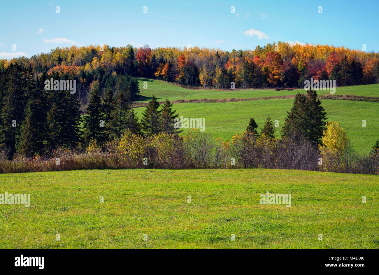 Sussex new brunswick hi-res stock photography and images - Alamy