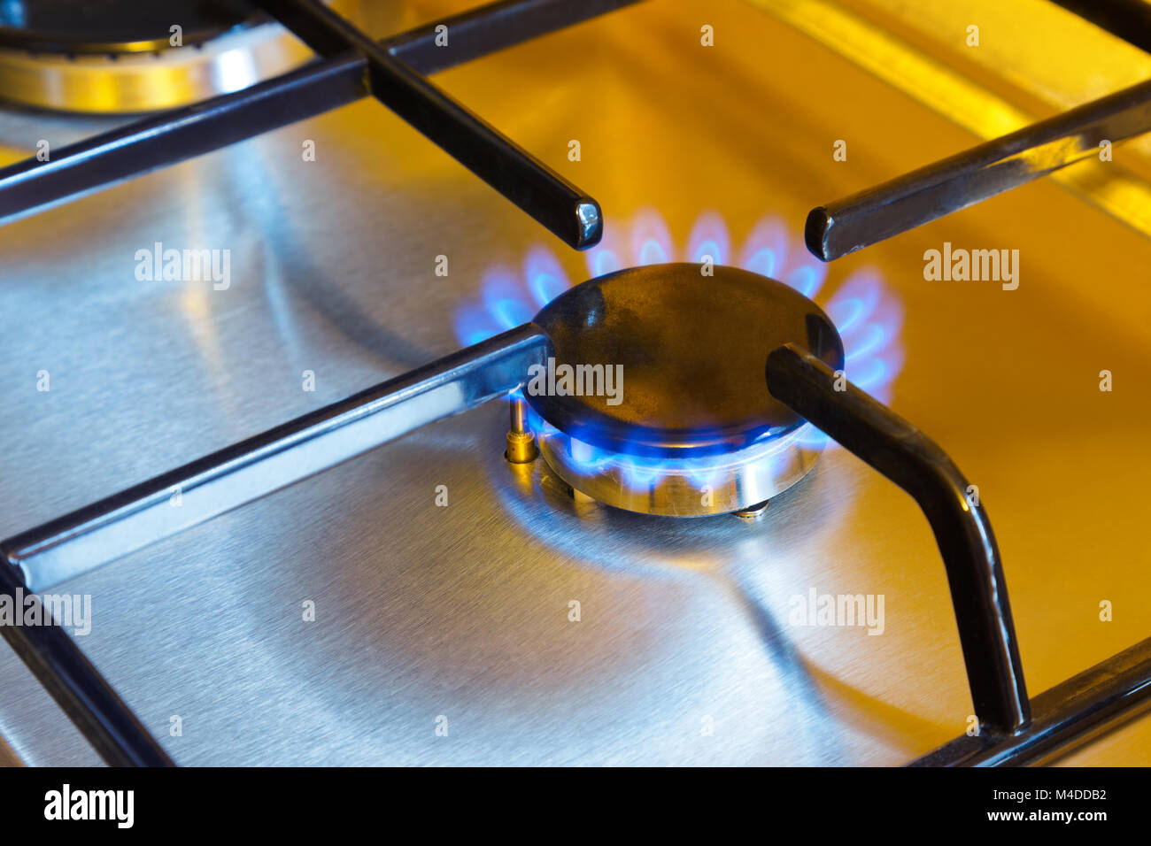 Flames of gas kitchen stove Stock Photo Alamy