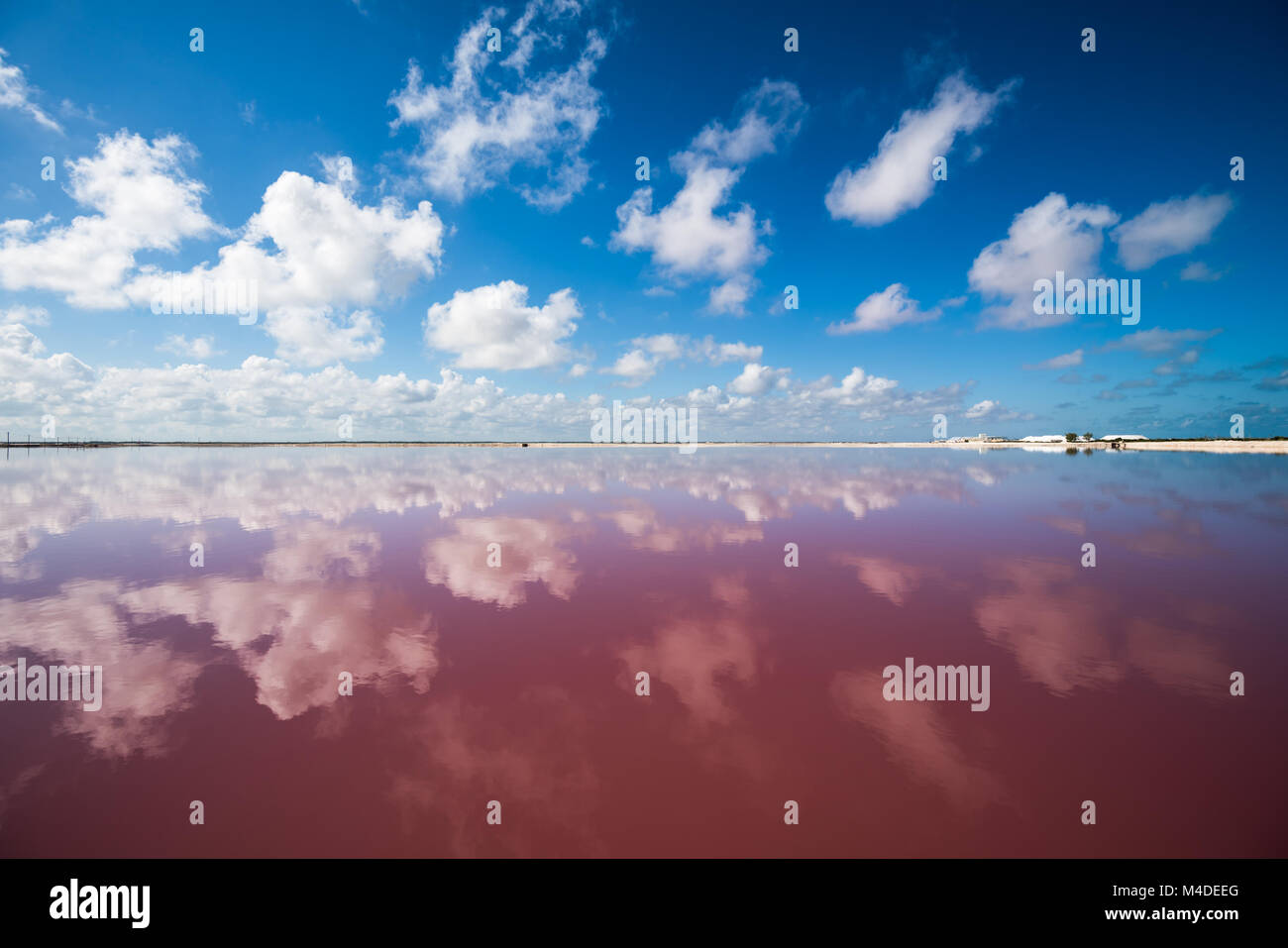 Salt pink lagoon in Las Coloradas, Yucatan, Mexico Stock Photo