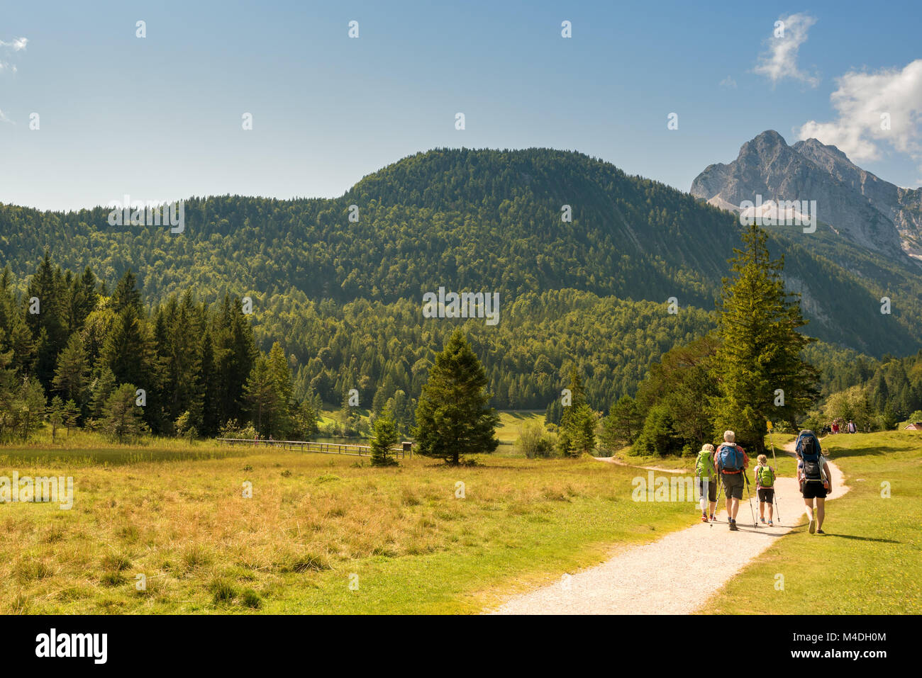 Alpine valley in summer, road, group of people hiking Stock Photo Alamy