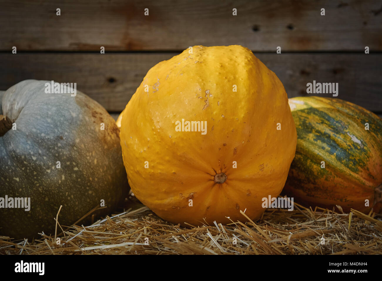 Pumpkins on a Hay Stock Photo - Alamy